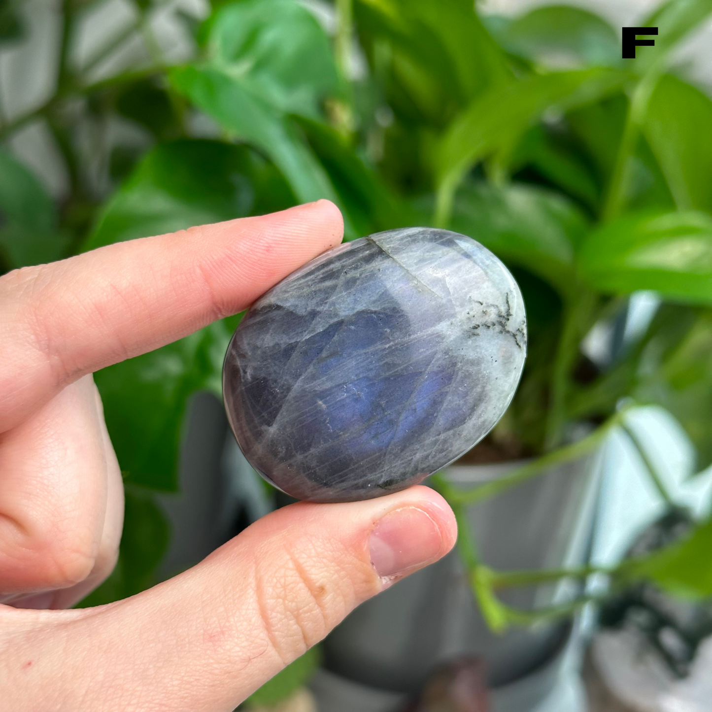 Sunset/Purple Flash Labradorite Palmstones