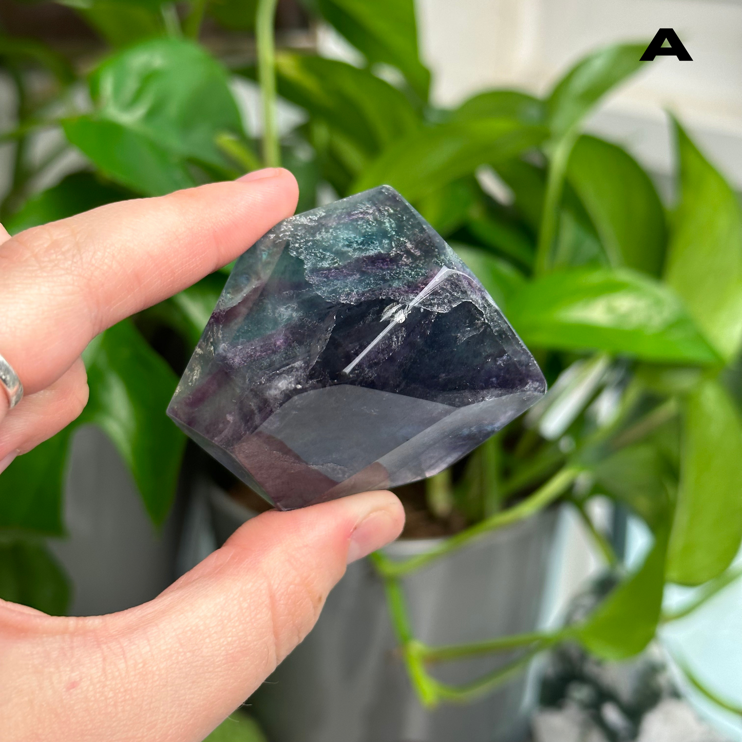 Fluorite Freeforms